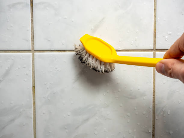 Best Same-Day Mold Removal  in Ferndale, MI