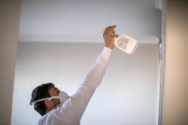  Ferndale, MI Mold Removal Pros